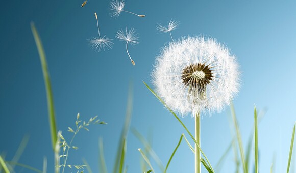 Sustainability in practice